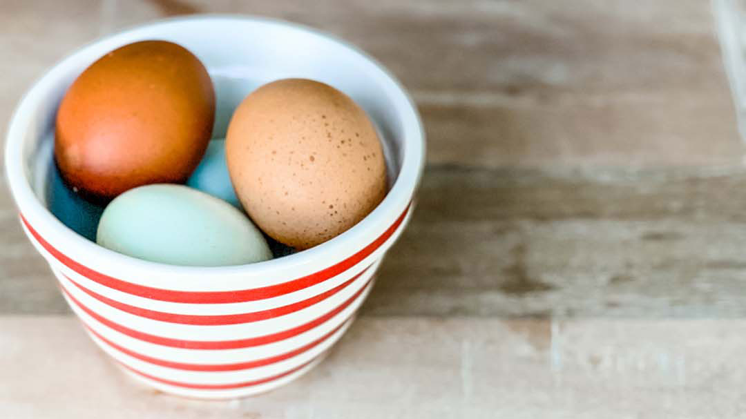 Brown and blue farm eggs in red and white striped bowl on wood table